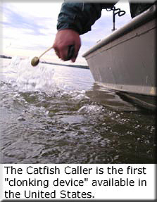 Catfish Clonk Shallow Water